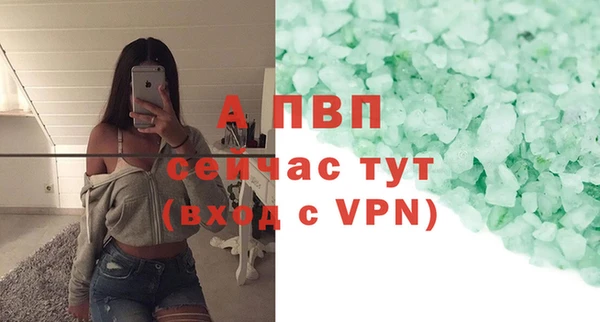 стаф Инсар