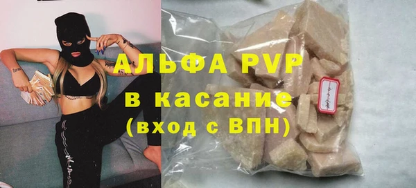 стафф Алексин