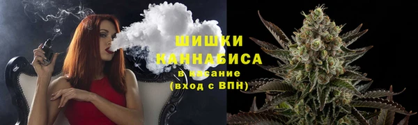 дмт Алзамай