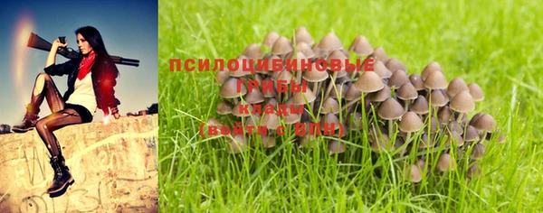 стафф Алексин