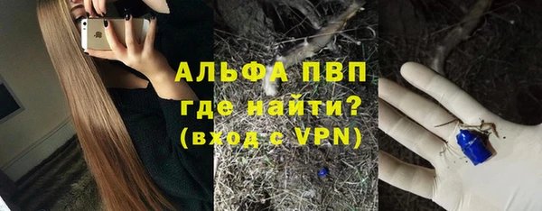 стафф Алексин