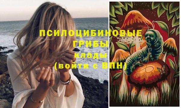 дмт Алзамай