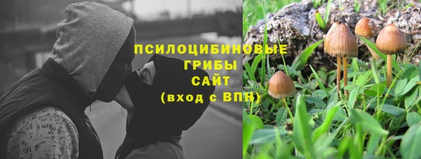 стафф Алексин