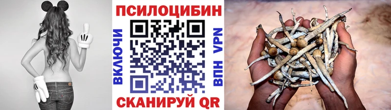 кракен маркетплейс  Дубна  Галлюциногенные грибы GOLDEN TEACHER 